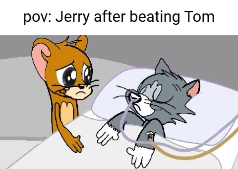 MEME 7